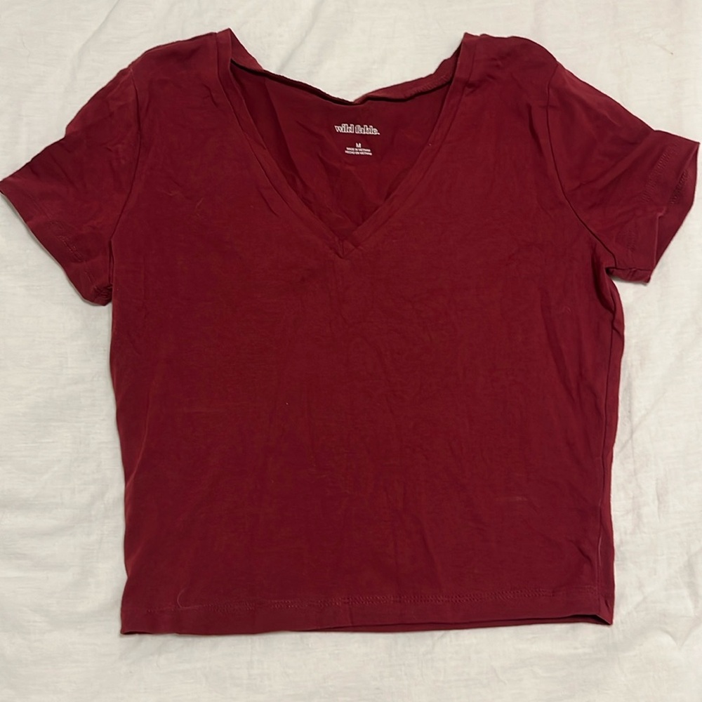 Basic Wild Fable cropped tee
